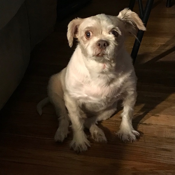 Meet The Posher, Lori - Picture 4 of 4